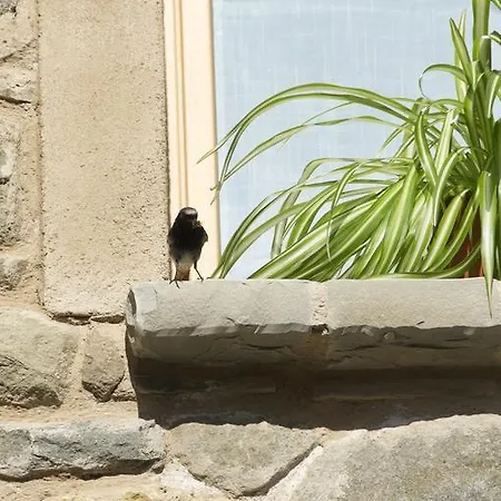 Bed & Breakfast Corte Della Maddalena