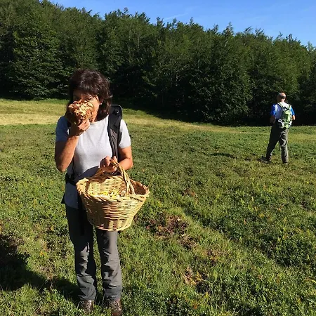 Corte Della Maddalena Bed & Breakfast 3*