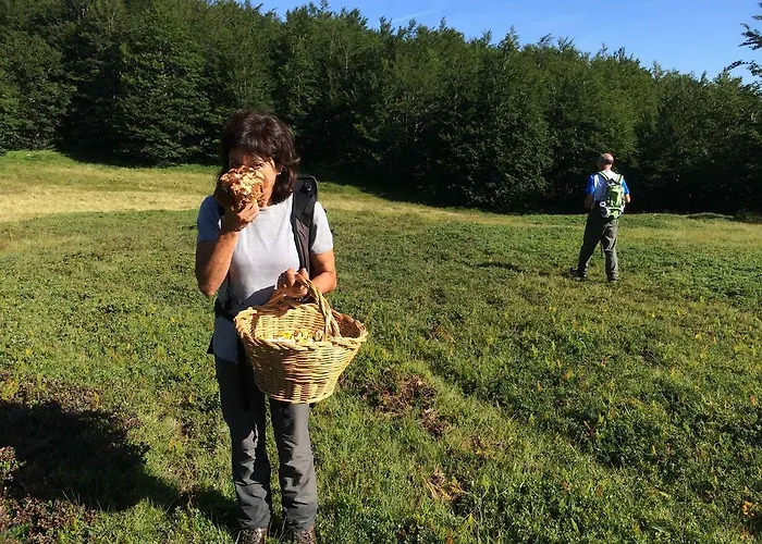 Corte Della Maddalena Bed & Breakfast 3*