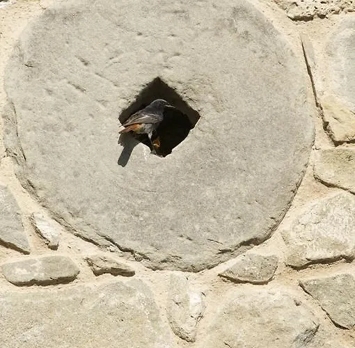 Bed & Breakfast Corte Della Maddalena