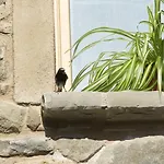 Alojamento de Acomodação e Pequeno-almoço Corte Della Maddalena