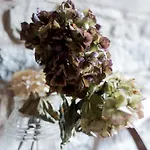 Bed & Breakfast Corte Della Maddalena Busana