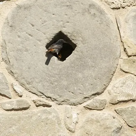 Bed & Breakfast Corte Della Maddalena