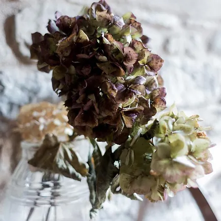 Bed & Breakfast Corte Della Maddalena Busana