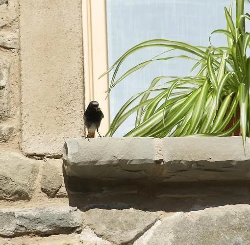 Bed & Breakfast Corte Della Maddalena