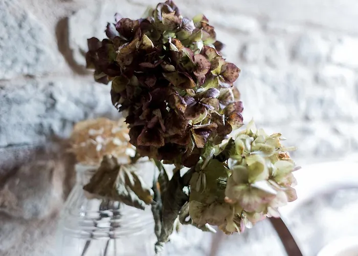 Bed & Breakfast Corte Della Maddalena Busana